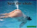 Please save the whales..especially the ones with thier ass as the blow hole